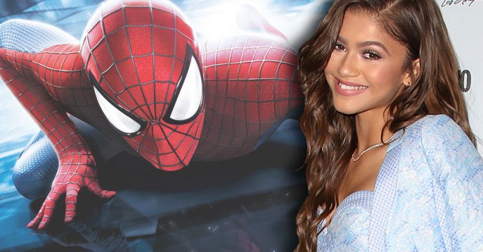 Zendaya's Character